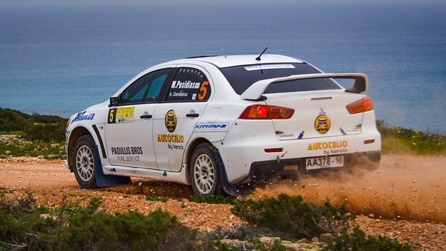 Select Rally Racing