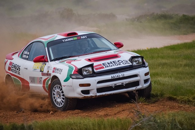 Select Rally Racing