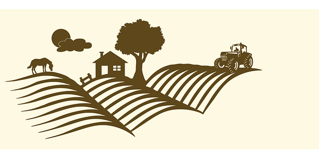 Select Salvage Title Rebuilds