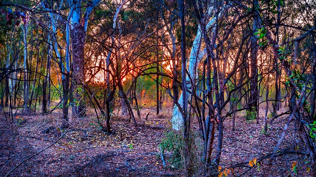 select-transmission-swaps-640x480-52903774.jpeg