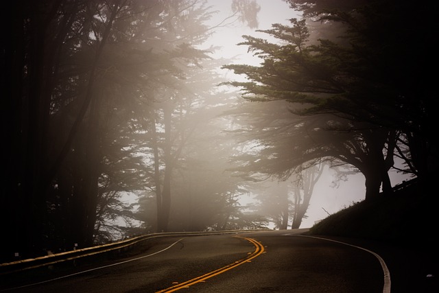 Select Travel to California