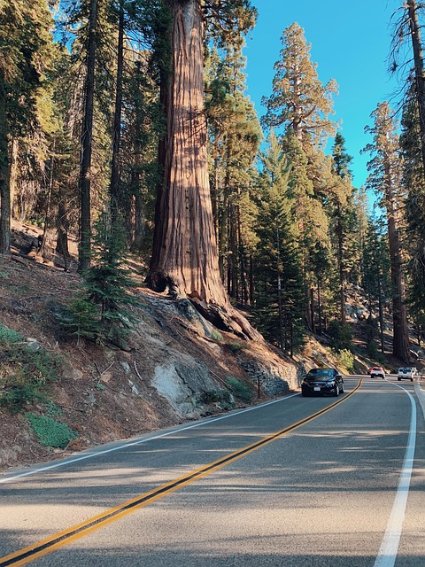 Select Travel to California