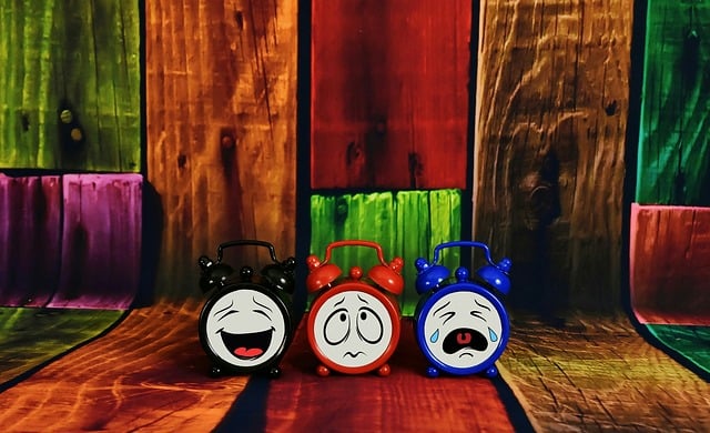 Select Car Alarms