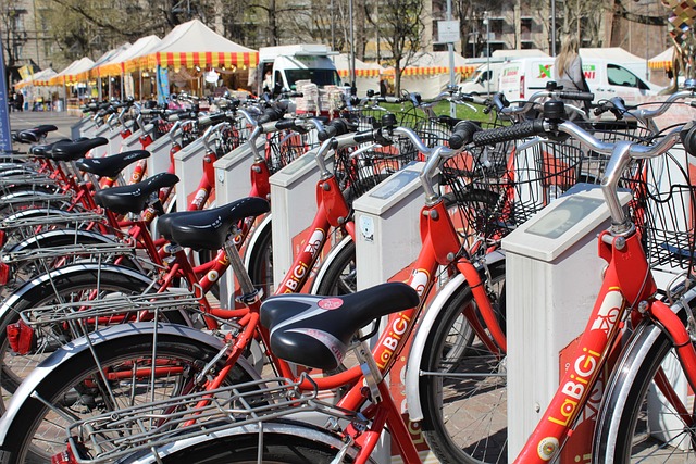 Select Car Sharing Platforms