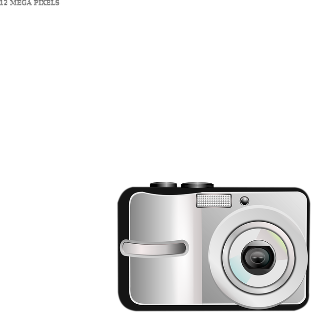 Select Dash Cams