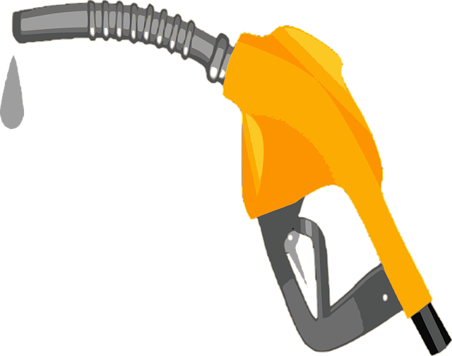 Select Gasoline Vehicles