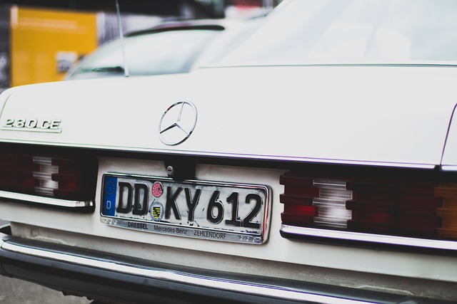Select License Plate Privacy