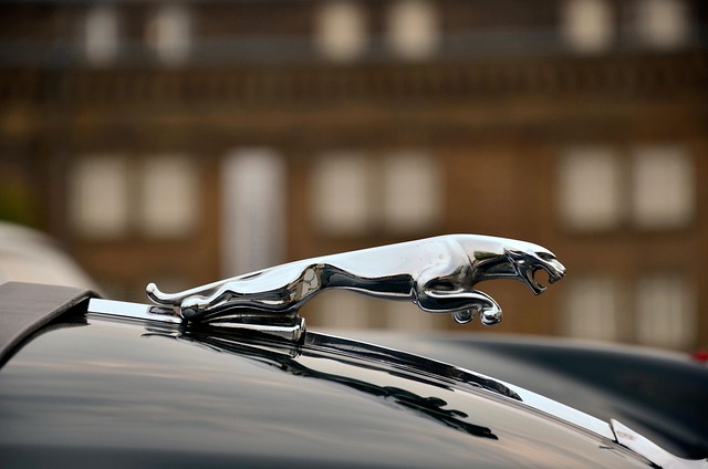 Select Luxury Cars