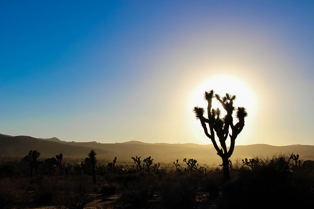 select-moving-to-california-640x480-50875386.jpeg