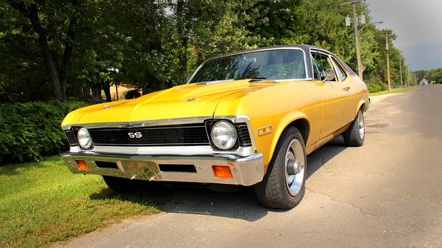 Select Muscle Cars