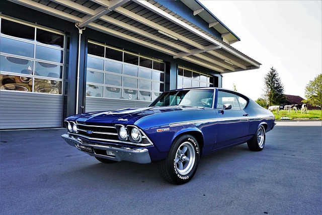 Select Muscle Cars