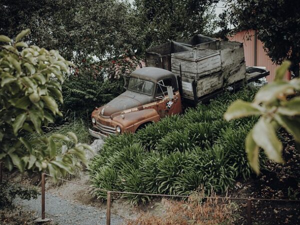 select-pickup-trucks-640x480-42156190.jpeg