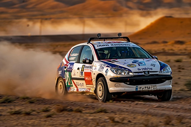 select-rally-racing-640x480-21094892.jpeg