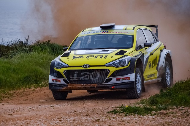 select-rally-racing-640x480-21777732.jpeg