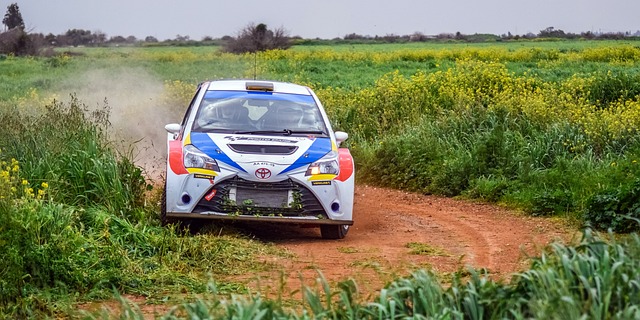 Select Rally Racing