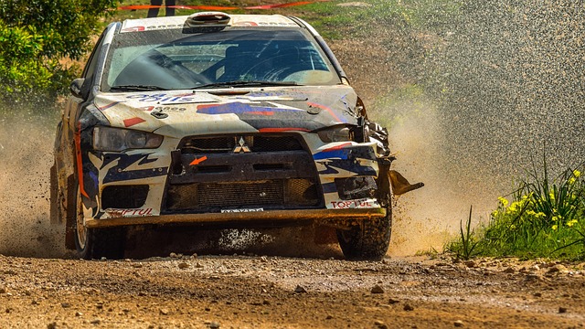 Select Rally Racing