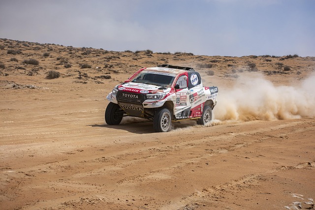 Select Rally Racing