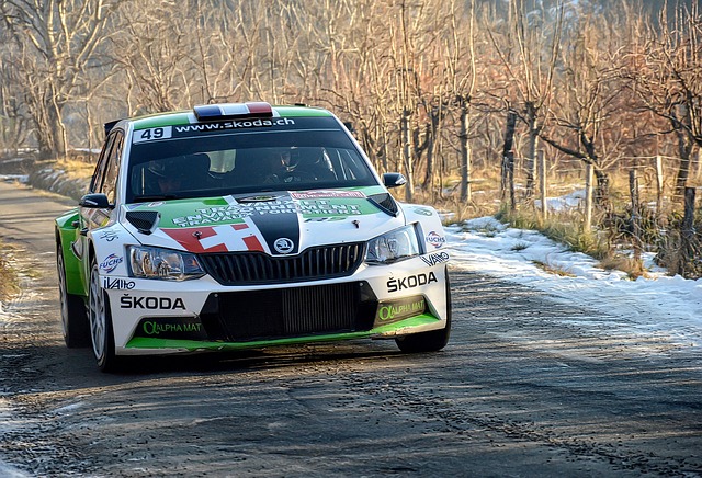 Select Rally Racing