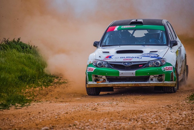 Select Rally Racing