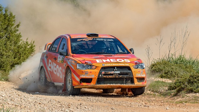 Select Rally Racing