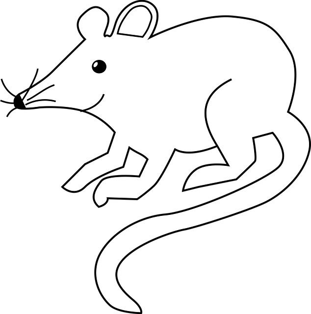 Select Rat Rods