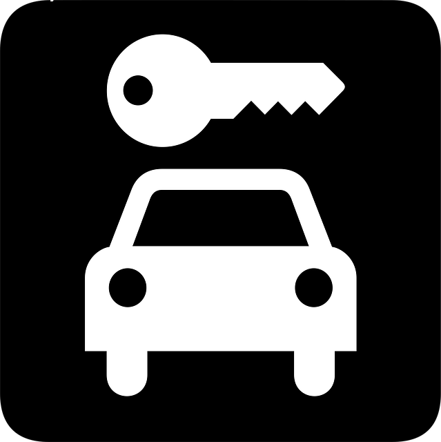 Select Ride-Hailing Services