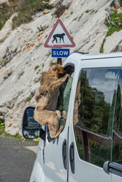 select-road-safety-tips-640x480-17072454.jpeg