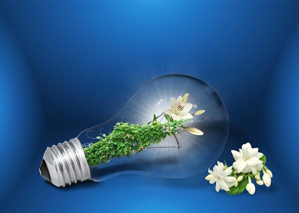 select-sustainable-vehicles-640x480-17318656.jpeg
