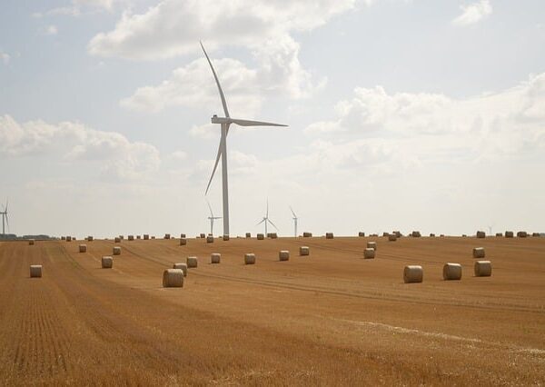 select-sustainable-vehicles-640x480-63923093.jpeg