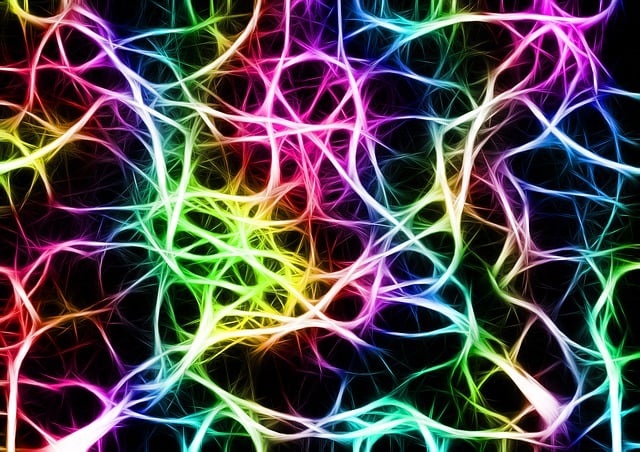 select-transmission-repairs-640x480-24176275.jpeg