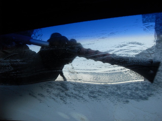 Select Window Tinting