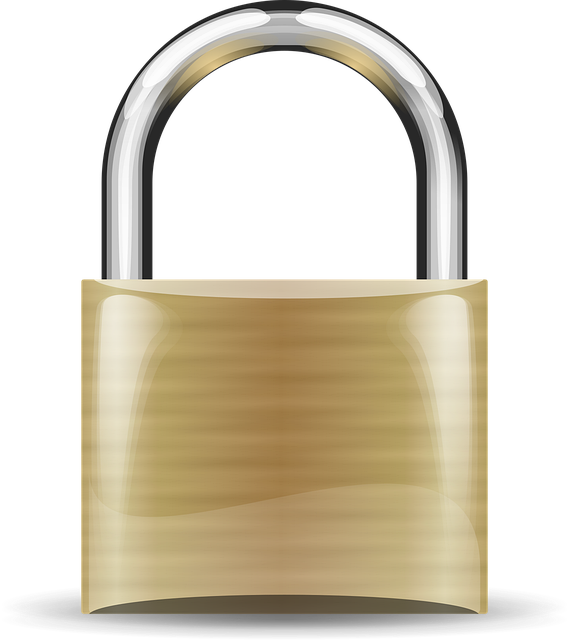 Anti-Theft Devices