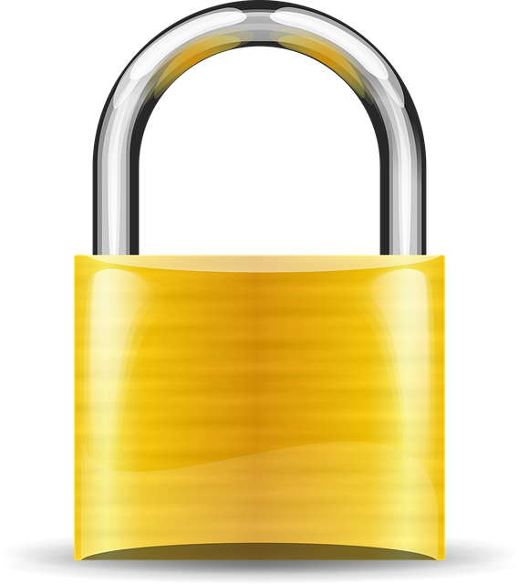 Anti-Theft Devices