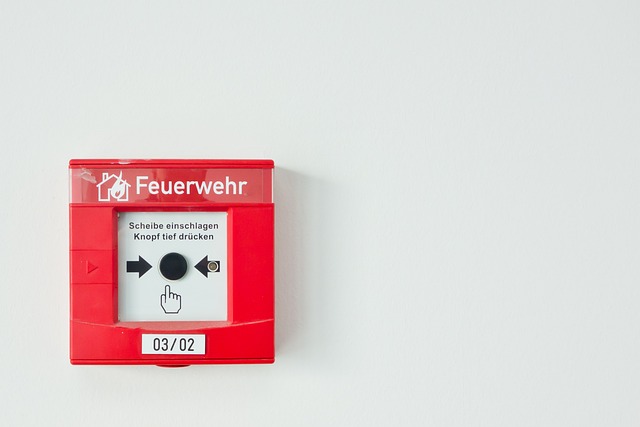 Select Car Alarms