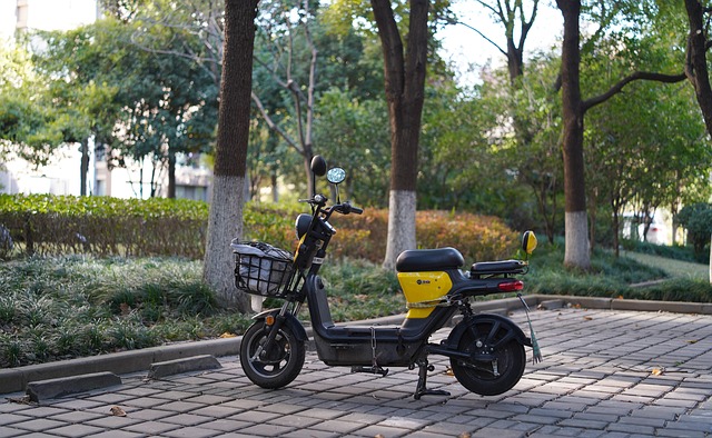 Select Electric Vehicles