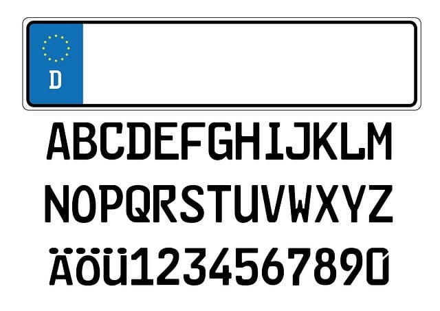 Select License Plate Privacy