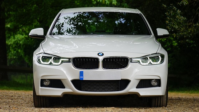 Select License Plate Privacy