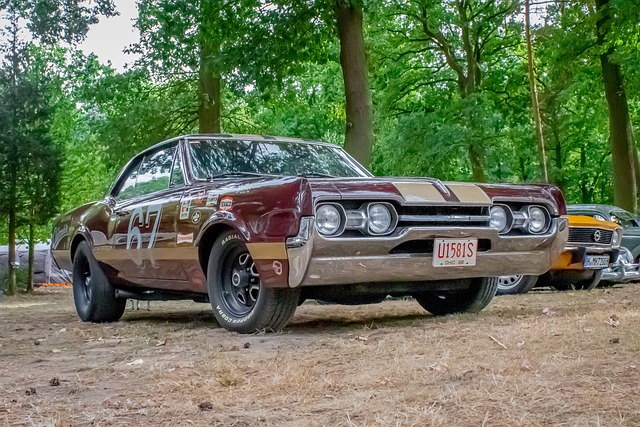 Select Muscle Cars