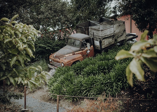 Select Pickup Trucks