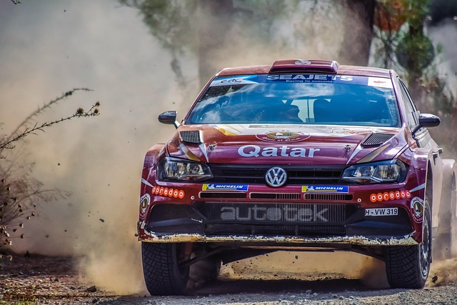 Select Rally Racing