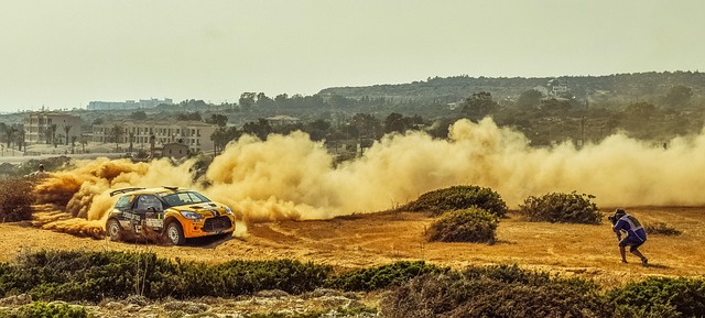 Select Rally Racing