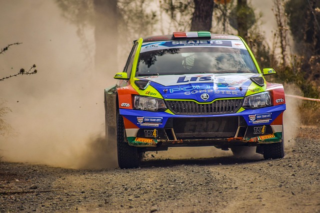 Select Rally Racing