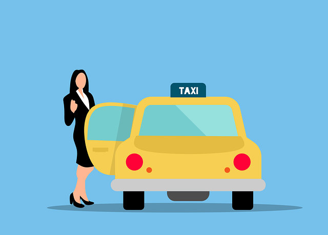Select Ride-Hailing Services