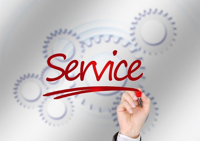 Select Ride-Hailing Services