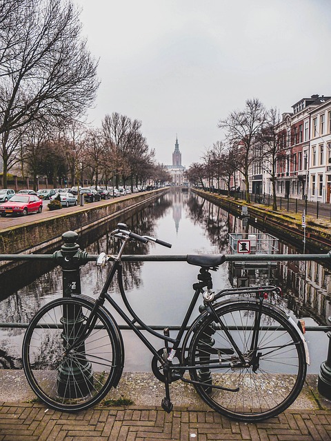 Select riverside ca verify vehicle vin