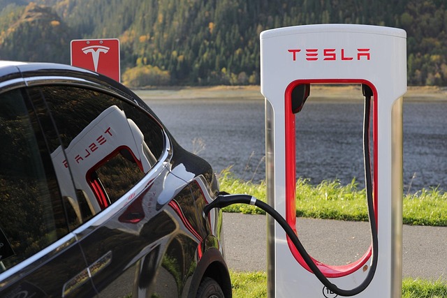 Select Sustainable Vehicles