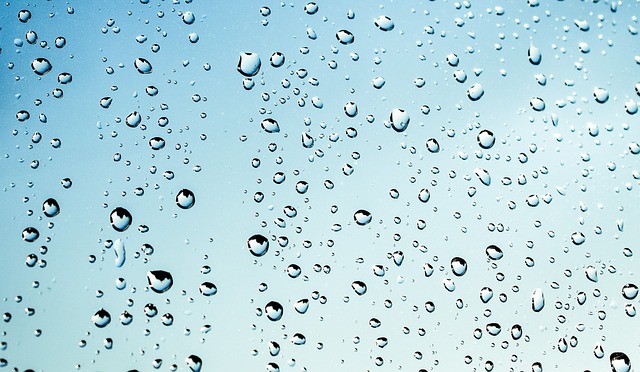 Select Window Tinting