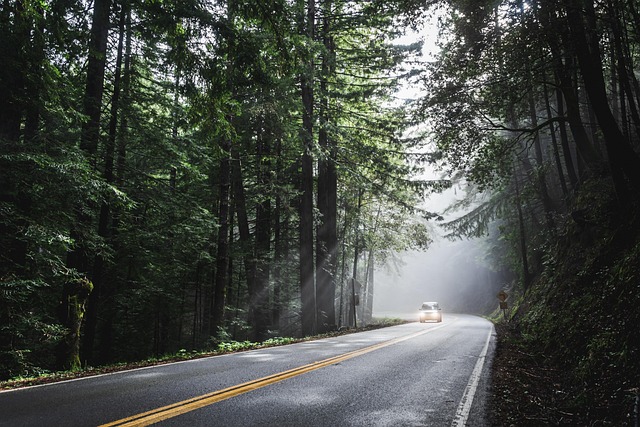 Register Car California: Step-by-Step Guide to DMV VIN Verification
