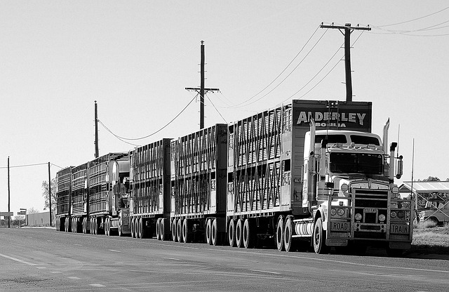 heavy duty trucks