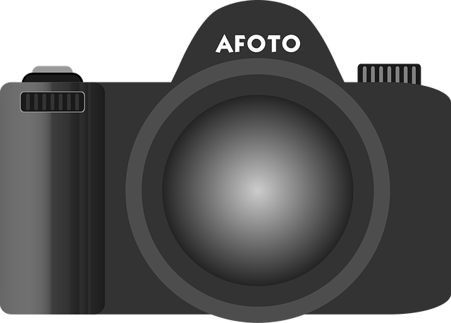 Select Dash Cams
